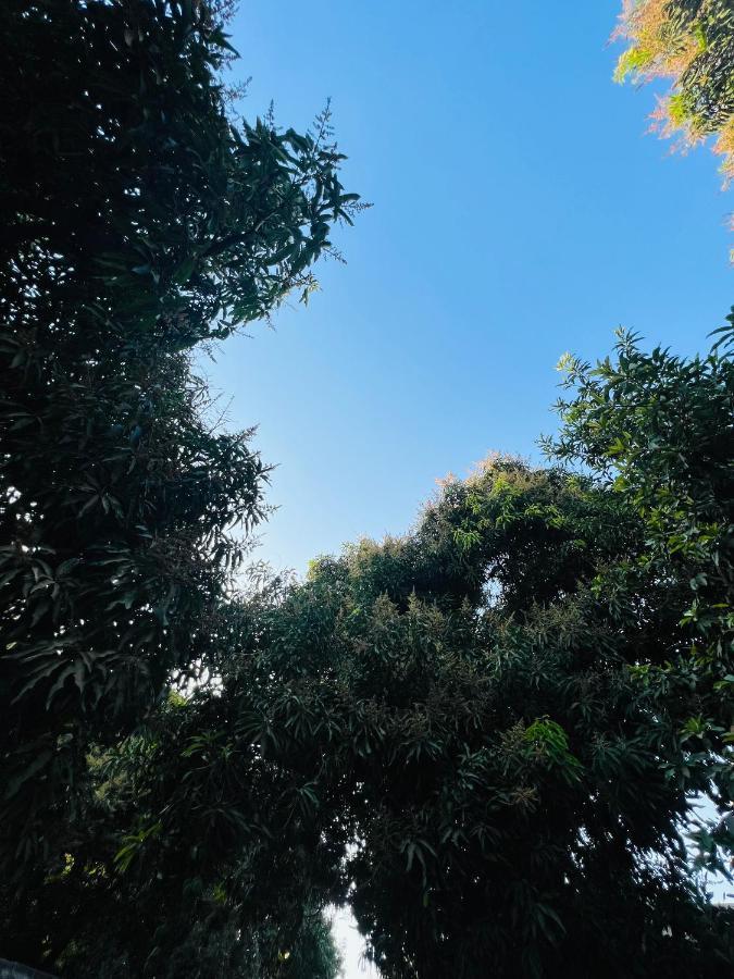 Hostal Casa San Pedro Santa Marta Dış mekan fotoğraf